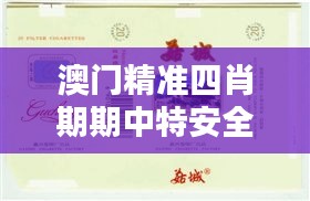 澳门精准四肖期期中特安全攻略揭秘，珍藏版ZFD78.67推荐