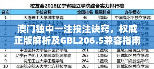 澳门独中一注投注诀窍，权威正版解析及GBL206.5兼容指南