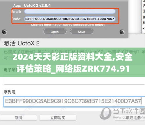 2024天天彩正版资料大全,安全评估策略_网络版ZRK774.91