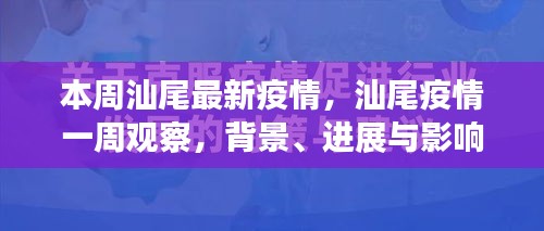 汕尾疫情一周观察，背景、进展与影响，最新疫情分析