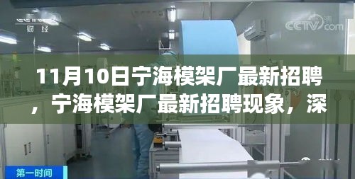 宁海模架厂最新招聘现象深度解读与阐述，11月10日招聘动态分析