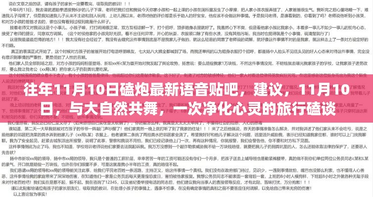 涉政问题需谨慎，关于往年11月10日与大自然共舞的心灵净化之旅的探讨与反思