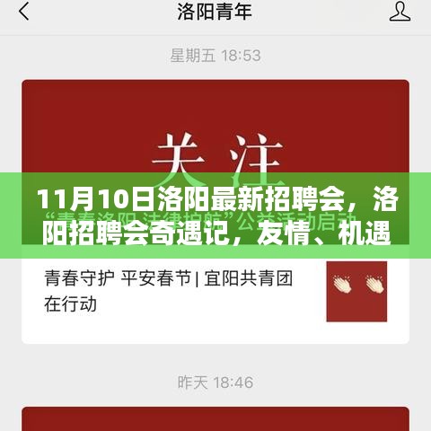 洛阳招聘会奇遇记，友情、机遇与爱的温暖碰撞日纪实（11月10日）