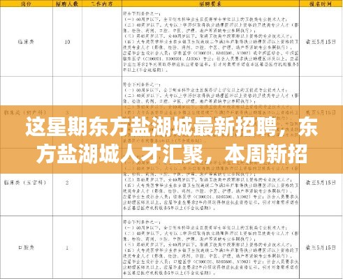 东方盐湖城最新招聘启幕，人才汇聚，引领行业新风向