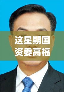 国资委高福朝揭秘新动向，引领时代潮流重塑未来格局