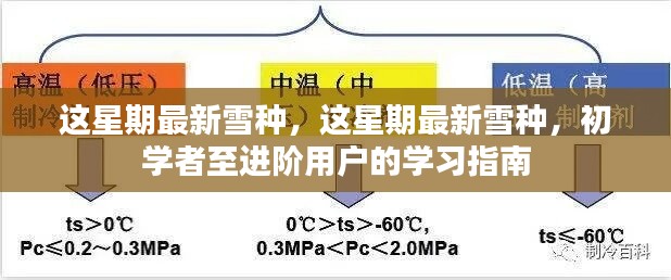 初学者至进阶用户的学习指南，最新雪种入门指南