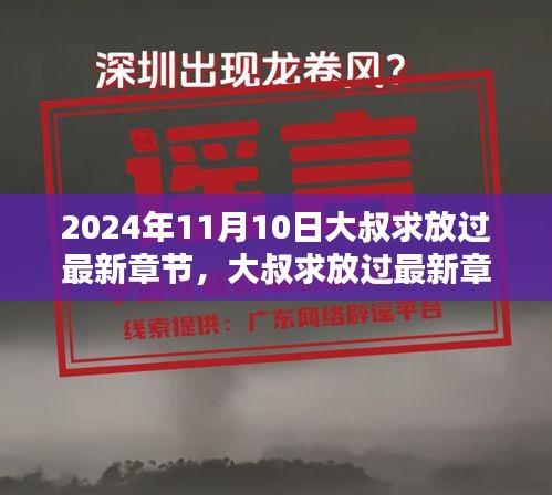 大叔求放过最新章节深度解析（2024年11月版）