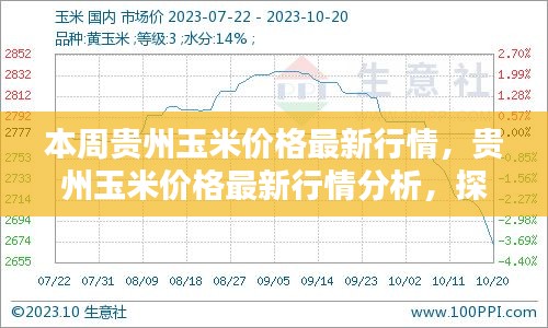 贵州玉米价格最新行情揭秘，影响因素、现状与未来趋势分析