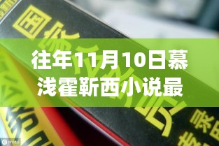 往年11月10日慕浅霍靳西小说深度解析