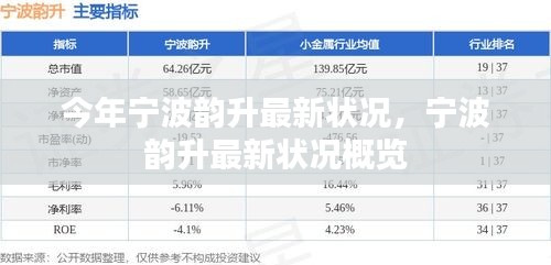 宁波韵升最新发展状况概览