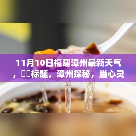 漳州探秘，心灵与自然美景的交汇——福建漳州11月10日天气纪实