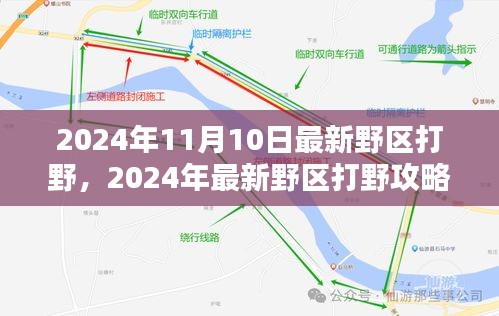 2024年野区霸主养成攻略，最新打野技巧教学，初学者与进阶玩家的进阶之路