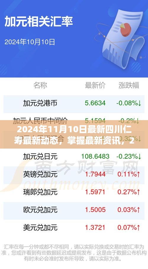 2024年11月10日四川仁寿最新动态探索与资讯指南