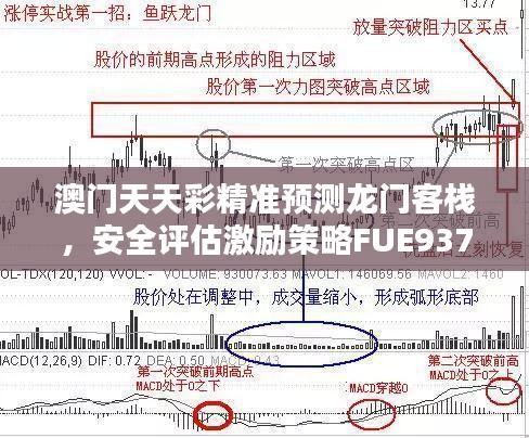 澳门天天彩精准预测龙门客栈，安全评估激励策略FUE937.22