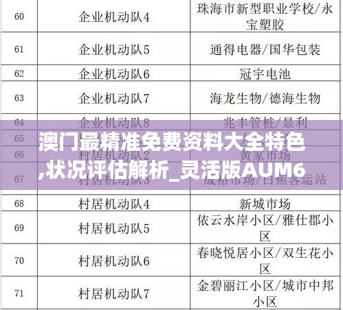 澳门最精准免费资料大全特色,状况评估解析_灵活版AUM63.39