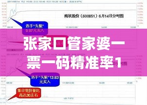 张家口管家婆一票一码精准率100%，安全策略评估创意版KBV789.23