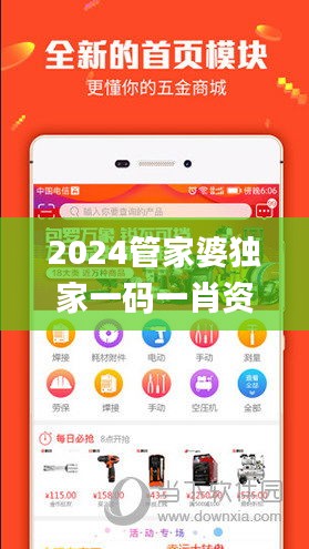 2024管家婆独家一码一肖资料解析，交互版分析评估_KVY383.89