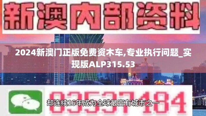 2024新澳门正版免费资木车,专业执行问题_实现版ALP315.53