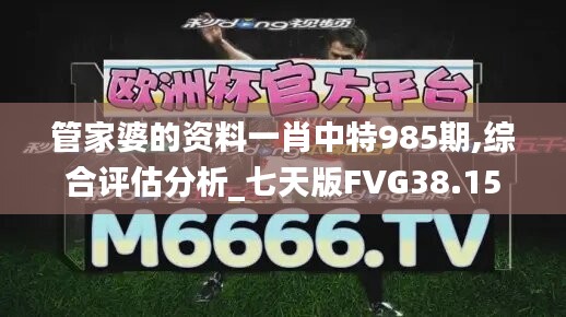 管家婆的资料一肖中特985期,综合评估分析_七天版FVG38.15