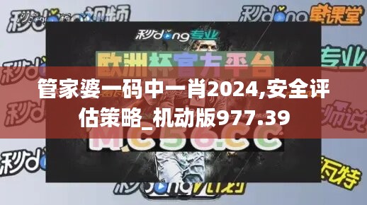 管家婆一码中一肖2024,安全评估策略_机动版977.39