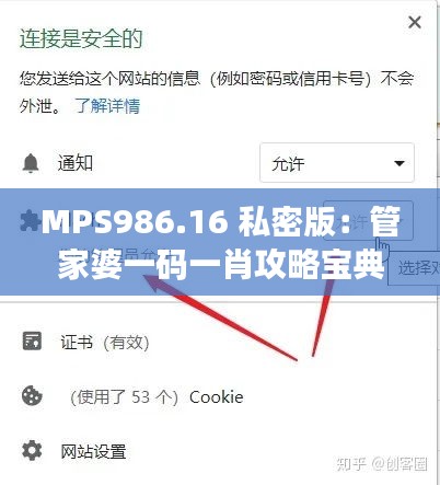 MPS986.16 私密版：管家婆一码一肖攻略宝典及安全解析技巧