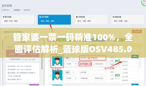 管家婆一票一码精准100%，全面评估解析_蓝球版OSV485.06