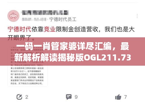 一码一肖管家婆详尽汇编，最新解析解读揭秘版OGL211.73