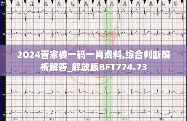 2O24管家婆一码一肖资料,综合判断解析解答_解放版BFT774.73