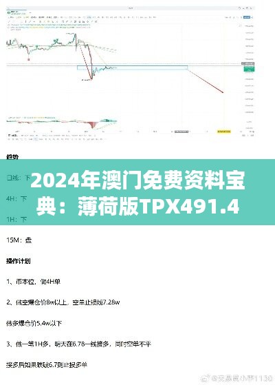 2024年澳门免费资料宝典：薄荷版TPX491.48素材方案解析