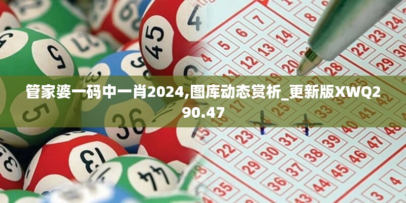 管家婆一码中一肖2024,图库动态赏析_更新版XWQ290.47