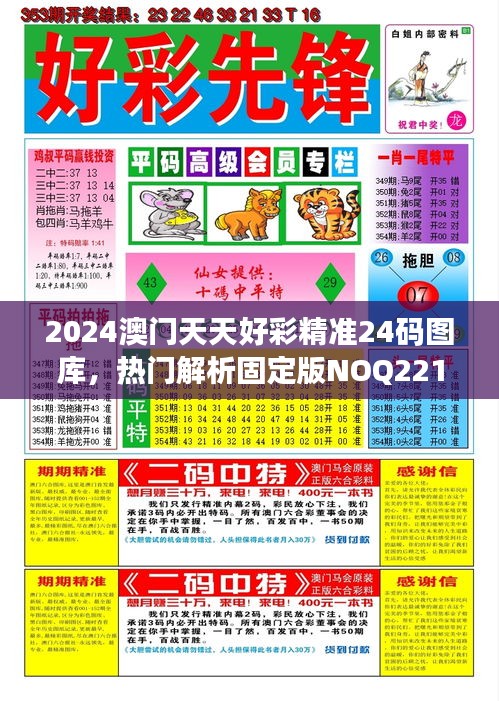 2024澳门天天好彩精准24码图库，热门解析固定版NOQ221.56