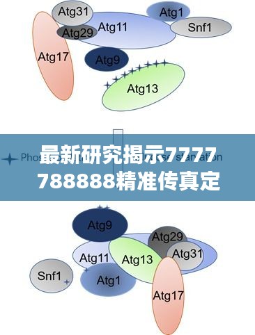 最新研究揭示7777788888精准传真定义，QDB707.58机动版详解