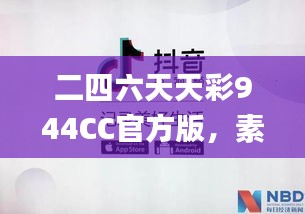 二四六天天彩944CC官方版，素材方案解析_电信XKV960.26版本