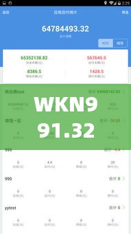 WKN991.32移动版管家婆必中一期，揭秘正品解析定义