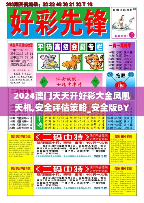 2024澳门天天开好彩大全凤凰天机,安全评估策略_安全版BYO82.48