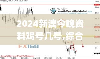 2024新澳今晚资料鸡号几号,综合数据说明_极致版WXE711.24