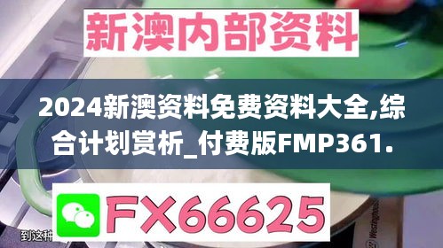 2024新澳资料免费资料大全,综合计划赏析_付费版FMP361.67