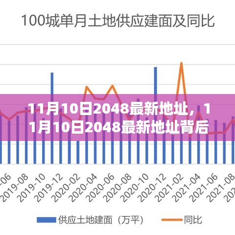 11月10日2048最新地址及其背后的观点深度探讨