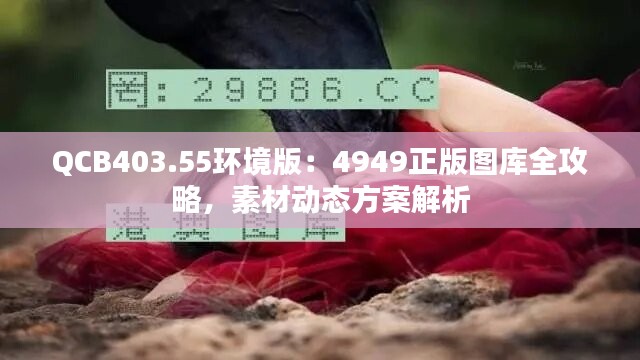 QCB403.55环境版：4949正版图库全攻略，素材动态方案解析