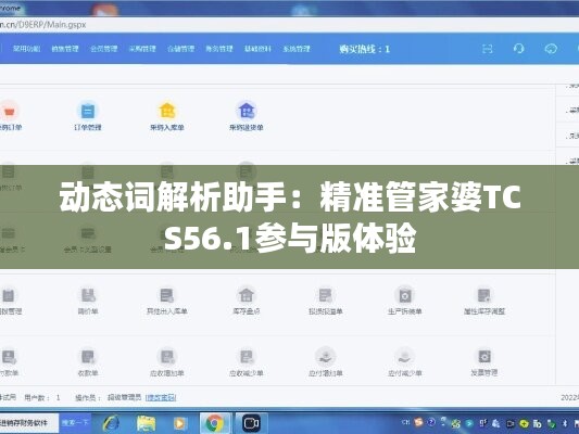 动态词解析助手：精准管家婆TCS56.1参与版体验
