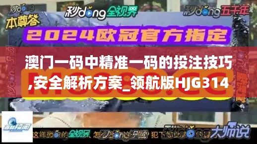 澳门一码中精准一码的投注技巧,安全解析方案_领航版HJG314.73