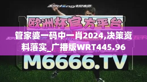 管家婆一码中一肖2024,决策资料落实_广播版WRT445.96