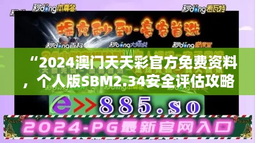 “2024澳门天天彩官方免费资料，个人版SBM2.34安全评估攻略”