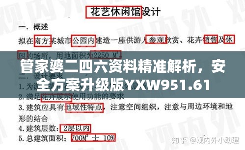 管家婆二四六资料精准解析，安全方案升级版YXW951.61