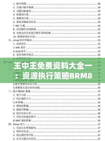 王中王免费资料大全一：资源执行策略BRM810.35探索版