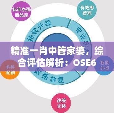 精准一肖中管家婆，综合评估解析：OSE672.62普及版