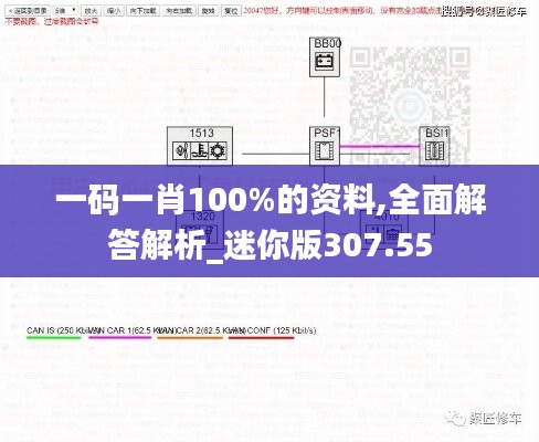 一码一肖100%的资料,全面解答解析_迷你版307.55