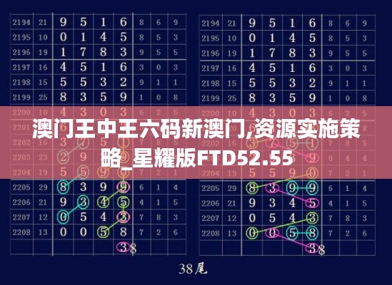 澳门王中王六码新澳门,资源实施策略_星耀版FTD52.55