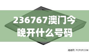 236767澳门今晚开什么号码,素材动态方案解答_旗舰版QJW155.58