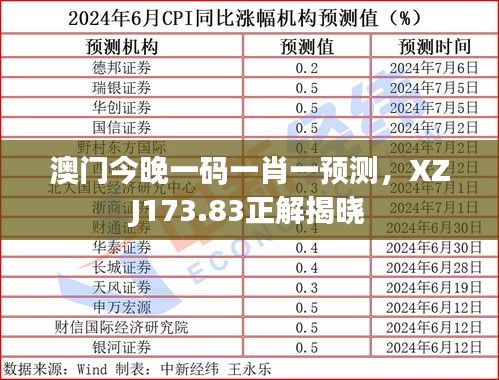 澳门今晚一码一肖一预测，XZJ173.83正解揭晓